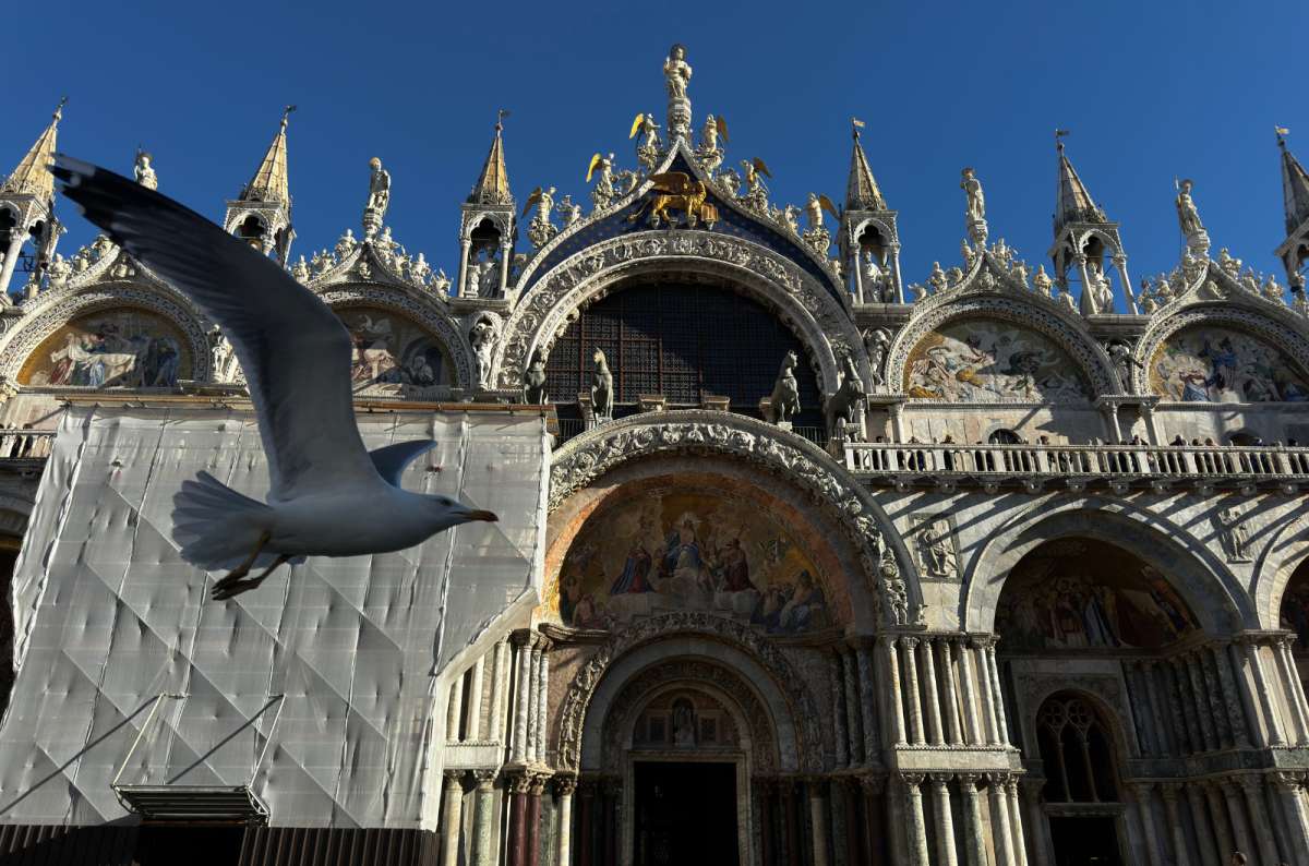 a photo of a seagull flying past the domes and golden mosaics of the St. Mark's Basilica facade, Venice, Italy, photo by Next Level of Travel