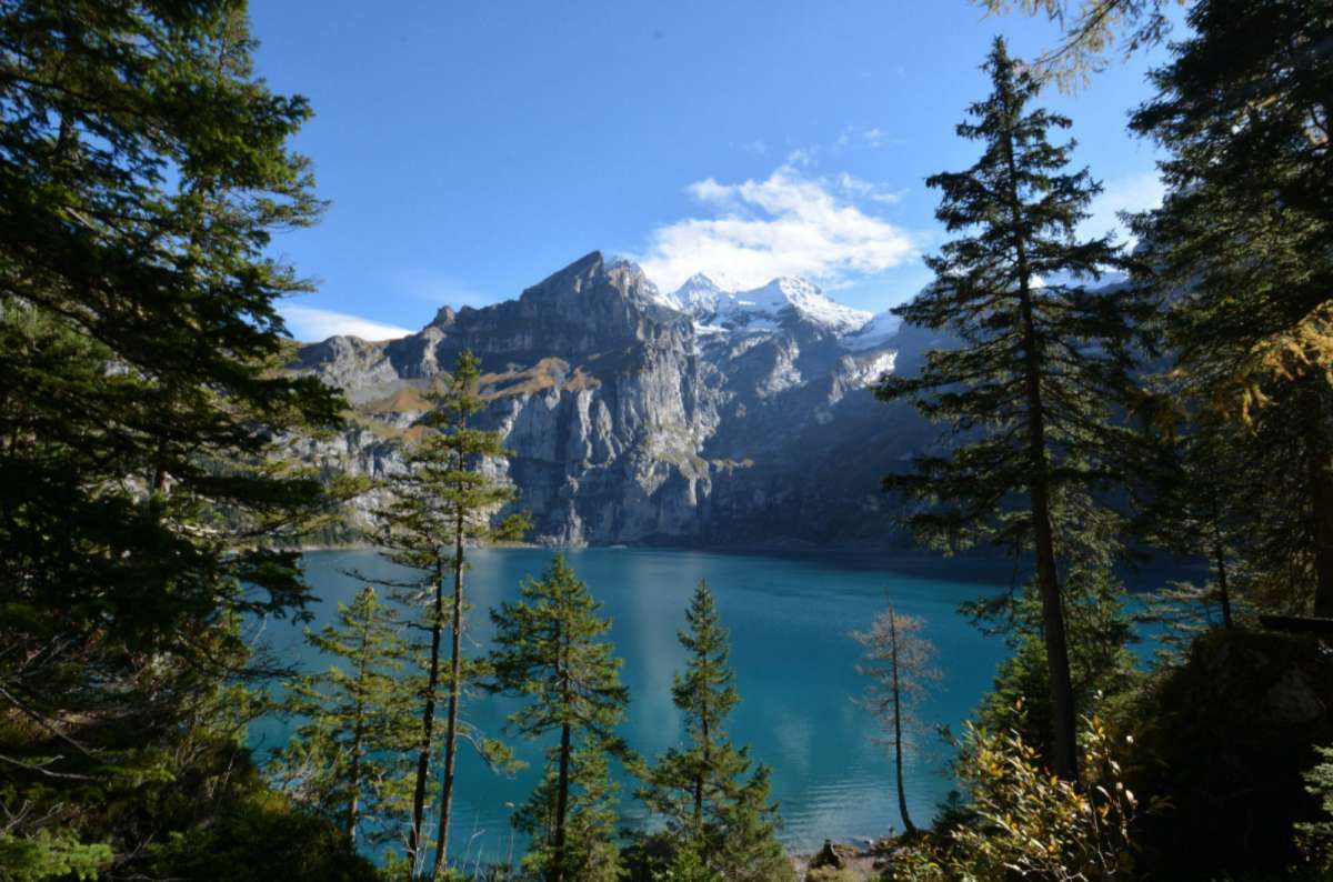 a photo of turquoise Oeschinensee framed by pine trees below the Blümlisalp massif, Kandersteg, Switzerland
