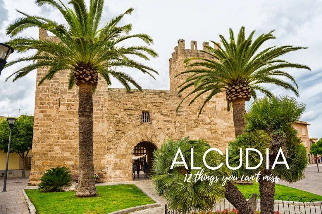 Holiday in Alcudia: 12 Things You Can’t Miss Out on and More!