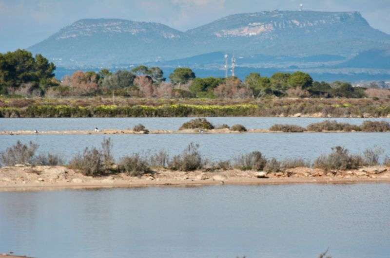 S'Albufera reservation in Mallorca, Spain