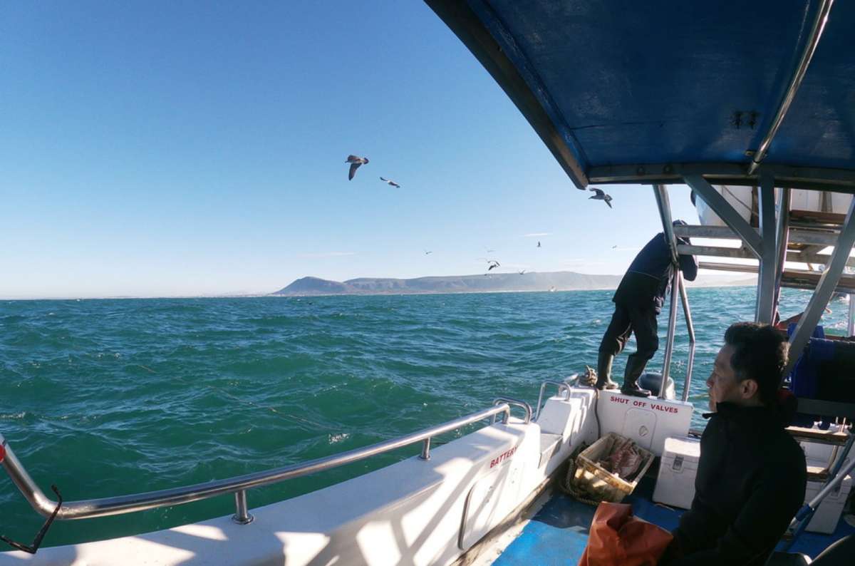 Men on a shark diving boat in south africa, photo by Next Level of Travel 