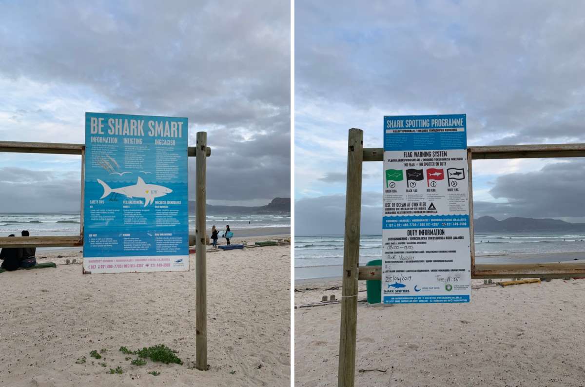 Signs warning of sharks on beach near Cape Town, South Africa, photos by Next Level of Travel