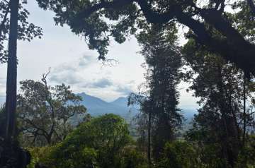 Bisoku Volcano