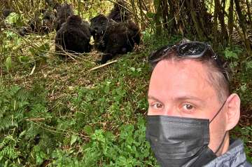 Gorilla trekking