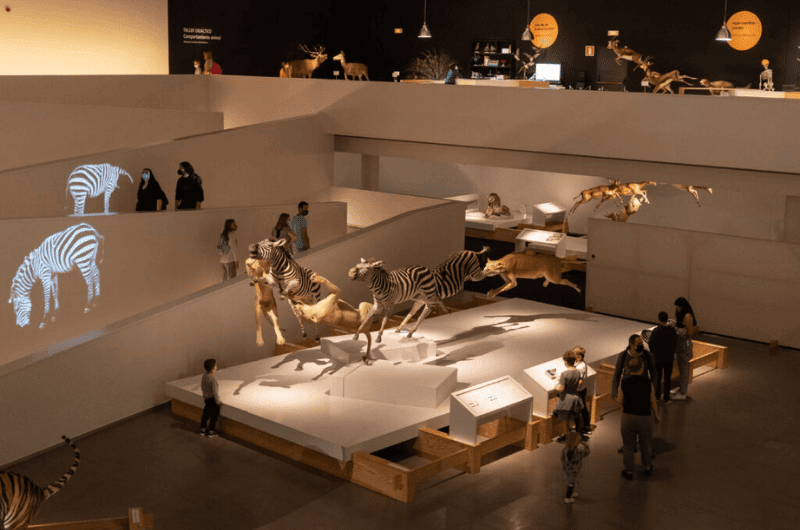 Best museum in Granada: Science Park WOW exhibit