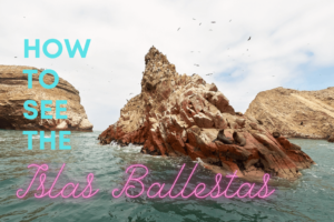How to see the Islas Ballestas in Peru