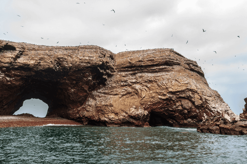 Islas Ballestas view from the boat tour 
