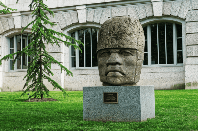 Olmec colossal heads as the remains of the ancient history of Mexico