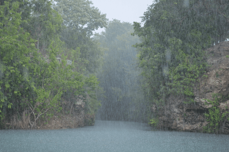 Rainy season in Mexico 