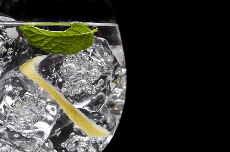 Gin and tonic in a glass with lemon and mint