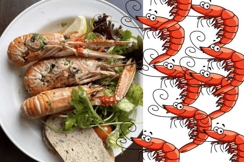 How to eat prawns in Scotland, prawns served on a plate with salad and bread
