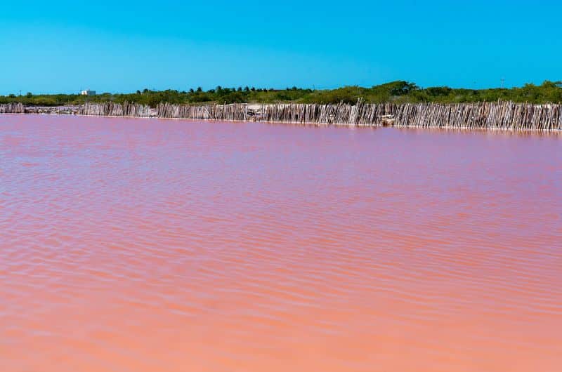 Laguna Rosada in Yucatán, Mexico 