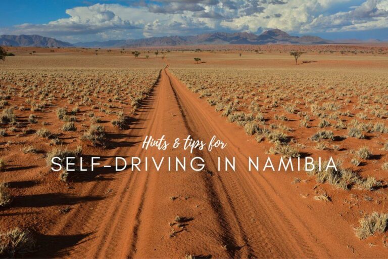 Article about tips for driving in Namibia