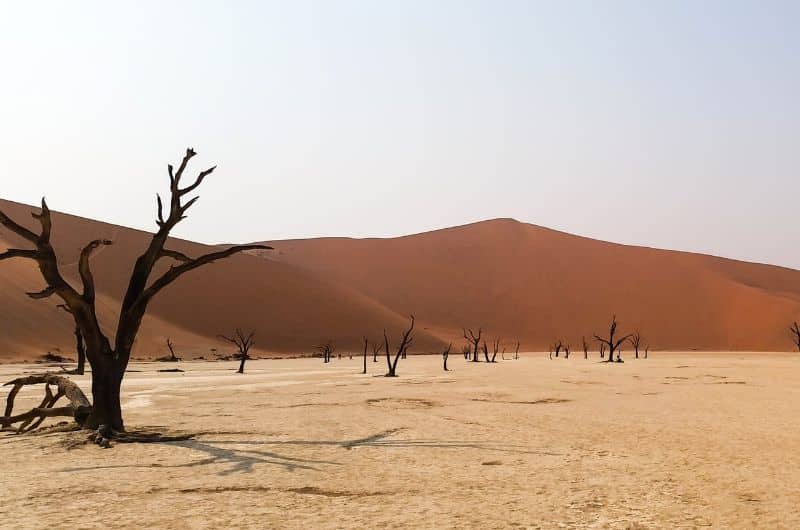 The orange sand of the desert in Namibia 