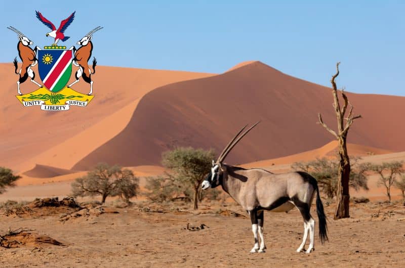 The oryx in Namibia 